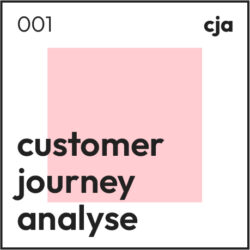 cja-1 cja-1